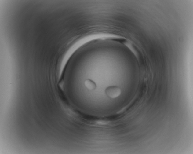 X0000114100360200910051450