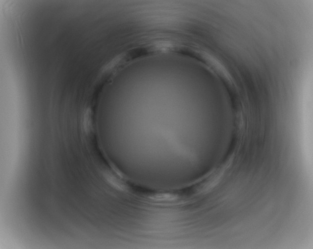 X0000114100361200910051450