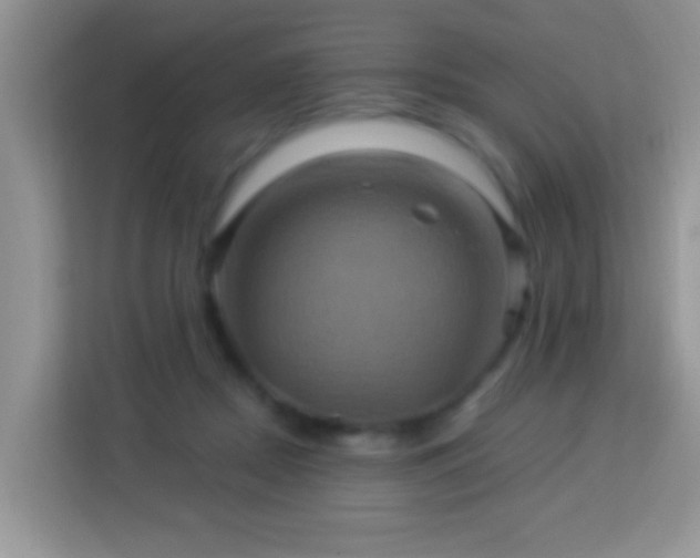 X0000114100362200910051450