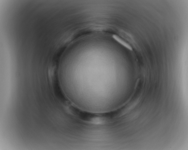 X0000114100364200910051450