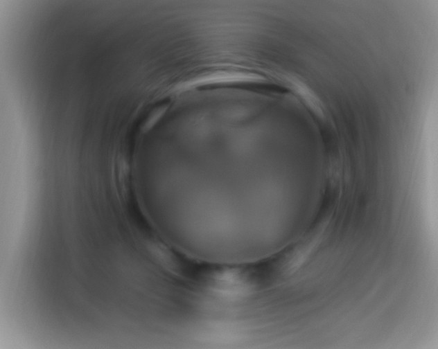 X0000114100365200910051450