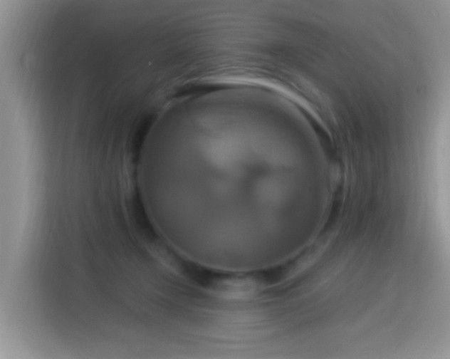 X0000114100366200910051450