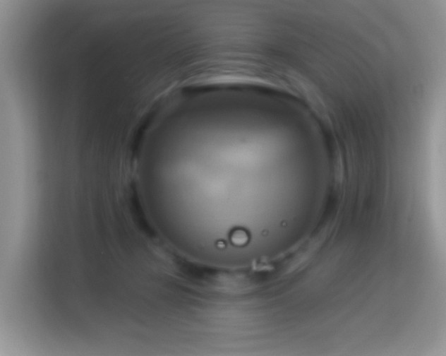 X0000114100367200910051450