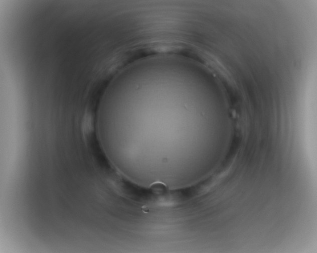 X0000114100368200910051450