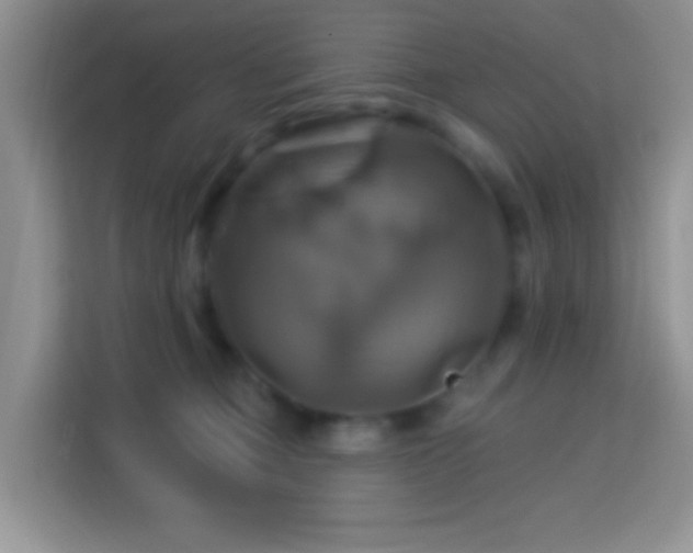 X0000114100373200910051450