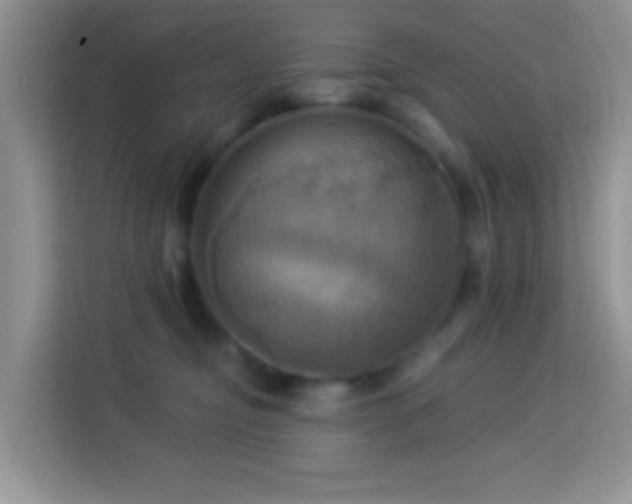 X0000114100374200910051450