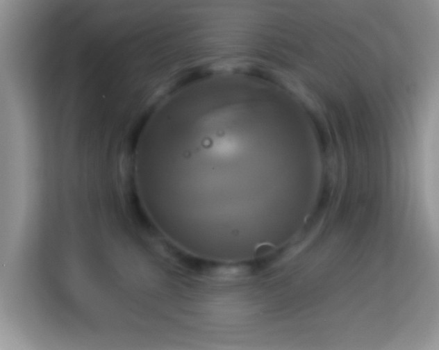 X0000114100375200910051450