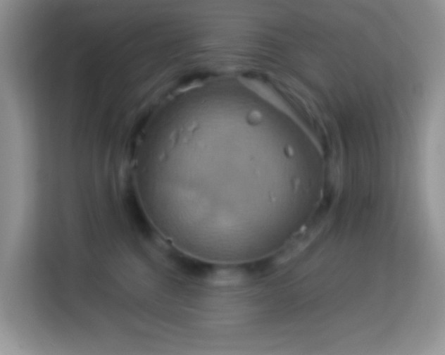 X0000114100376200910051450