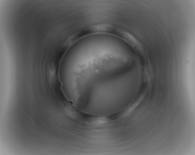 X0000114100377200910051450