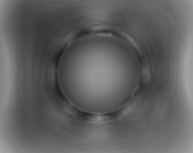 X0000114100379200910051450