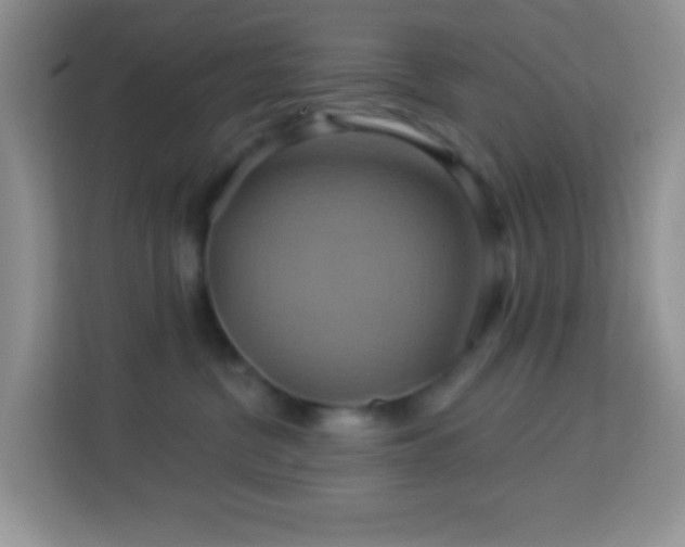 X0000114100380200910051450