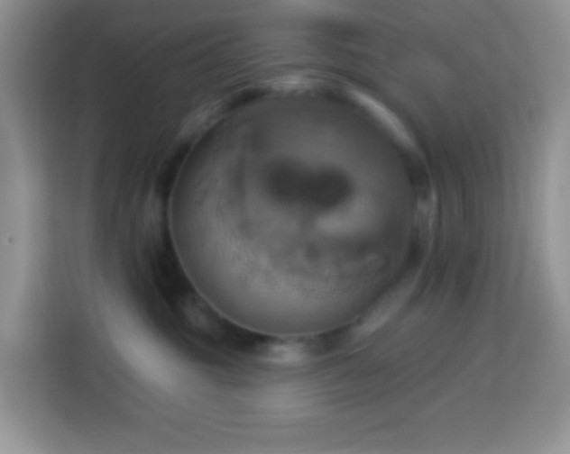 X0000114100381200910051450