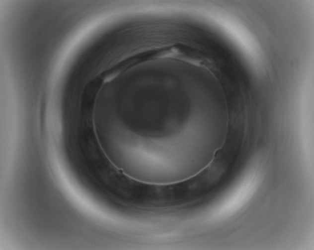 X0000114100383200910051450