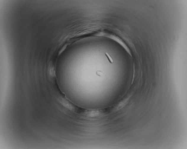 X0000114100384200910051450