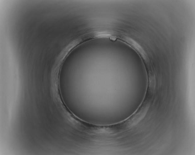 X0000114100385200910051449