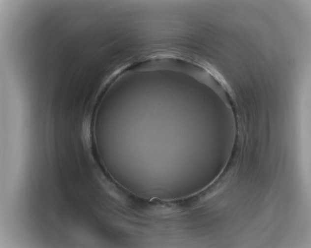 X0000114100386200910051449