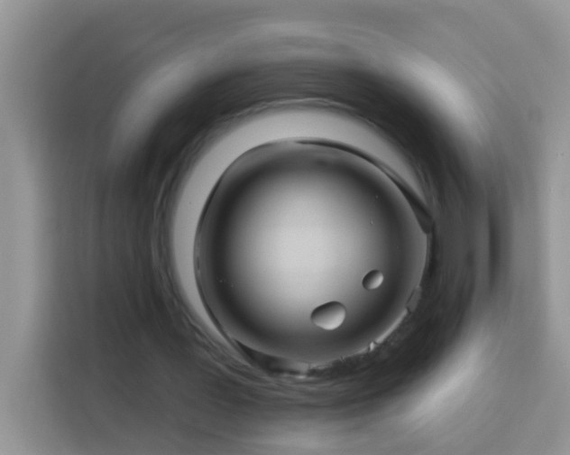 X0000114100387200910051449