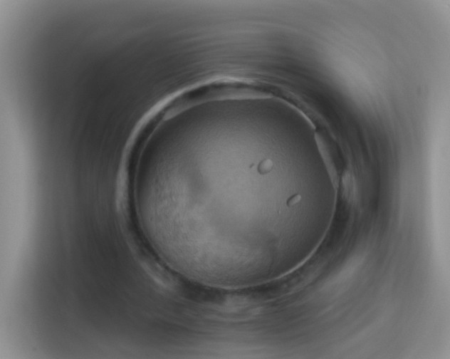 X0000114100388200910051449