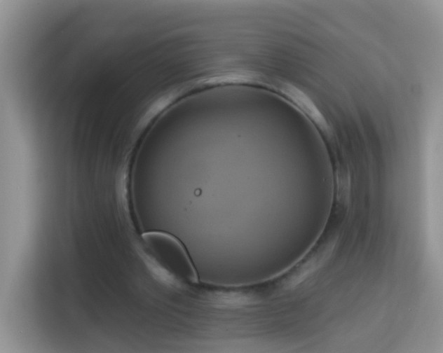 X0000114100389200910051449