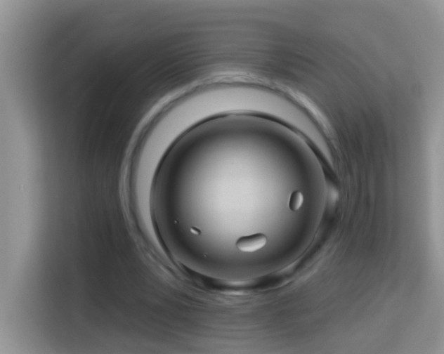 X0000114100391200910051449