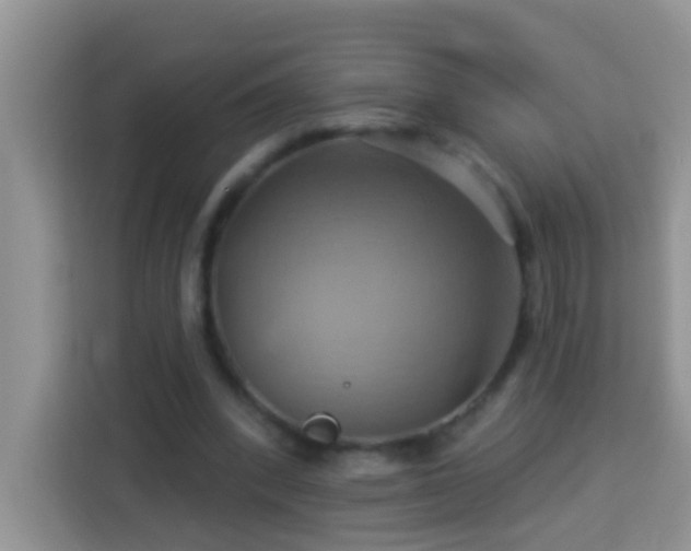 X0000114100392200910051449