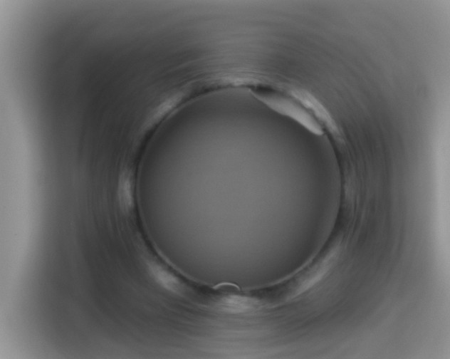 X0000114100393200910051449