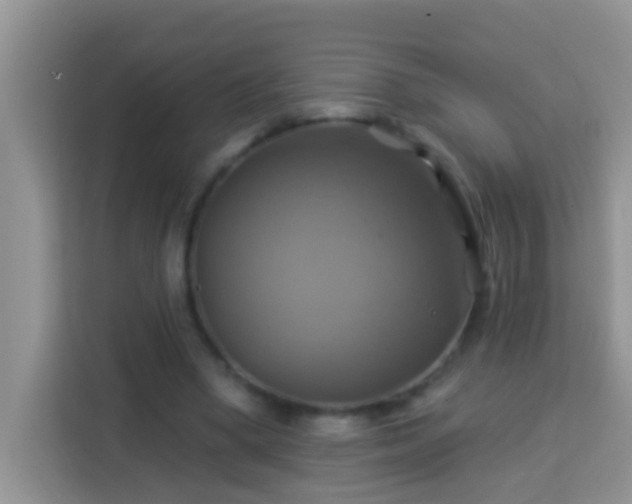 X0000114100394200910051449