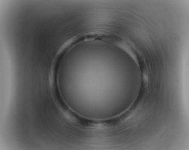 X0000114100396200910051449