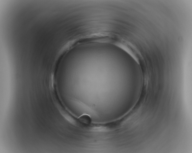 X0000114100397200910051449