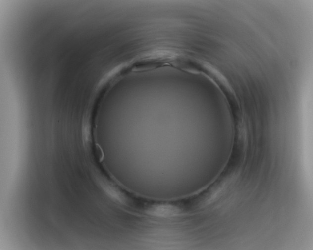 X0000114100399200910051449