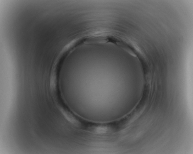 X0000114100400200910051449