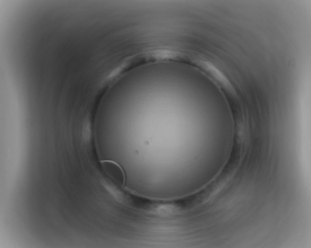 X0000114100401200910051449