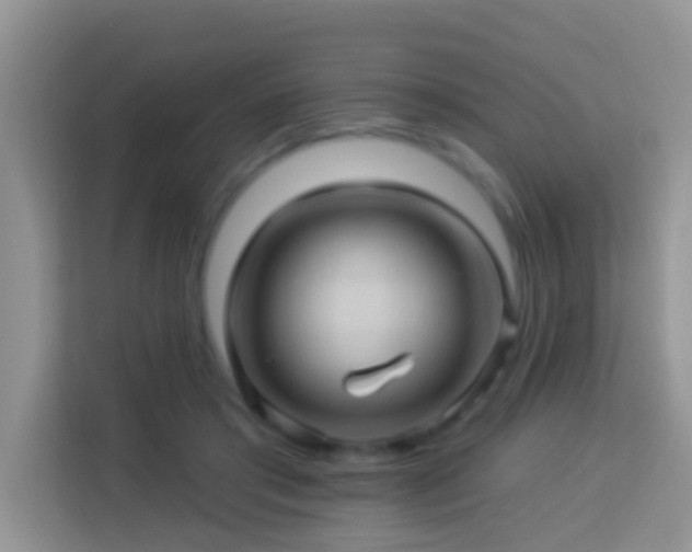 X0000114100405200910051449