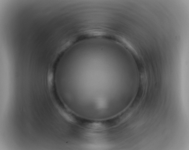 X0000114100406200910051449