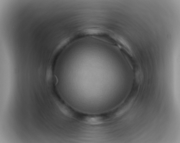 X0000114100407200910051449