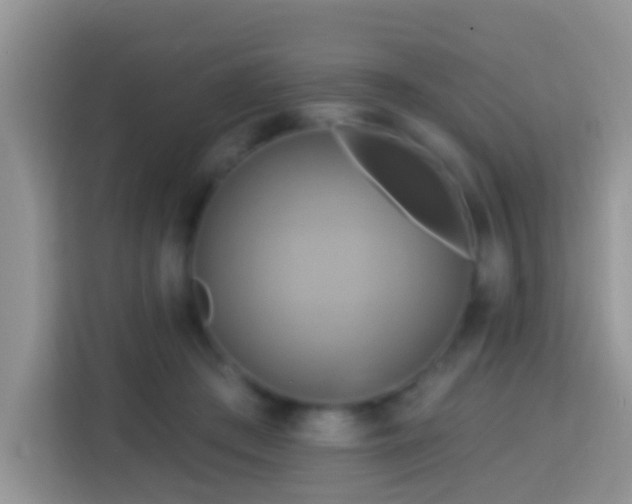 X0000114100409200910051449