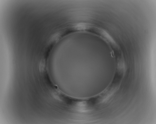 X0000114100411200910051449