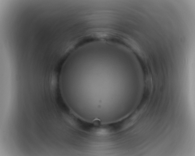 X0000114100412200910051449