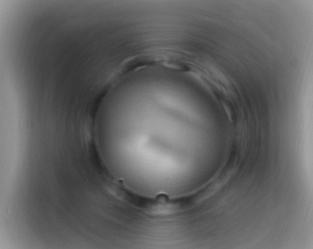 X0000114100413200910051449