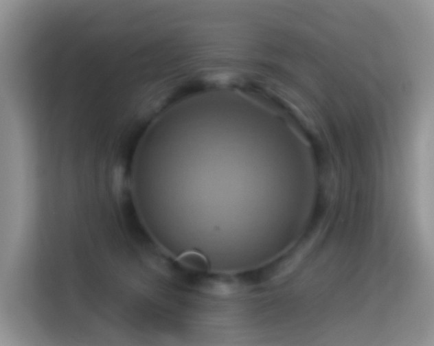 X0000114100420200910051449