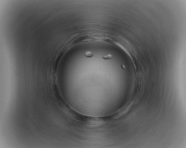 X0000114100421200910051449