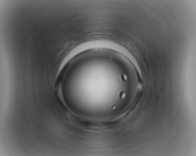 X0000114100423200910051449