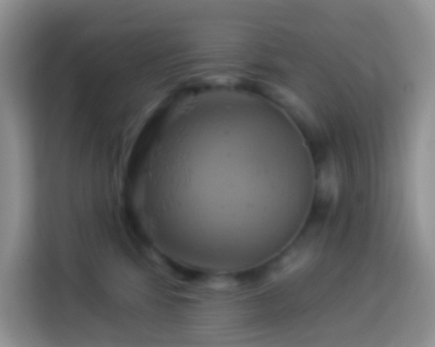 X0000114100424200910051449