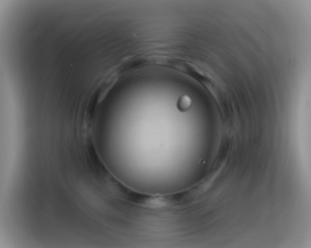 X0000114100425200910051449