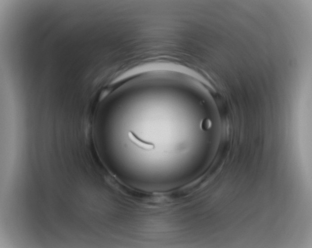 X0000114100427200910051449