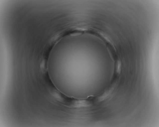 X0000114100428200910051449