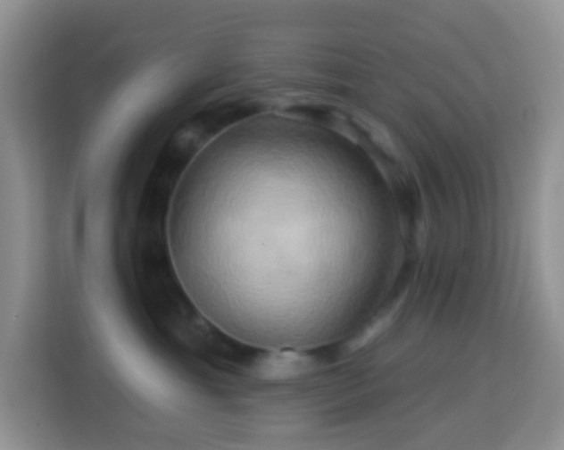 X0000114100429200910051449