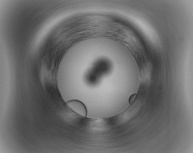 X0000114100431200910051449