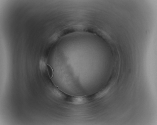 X0000114100432200910051449