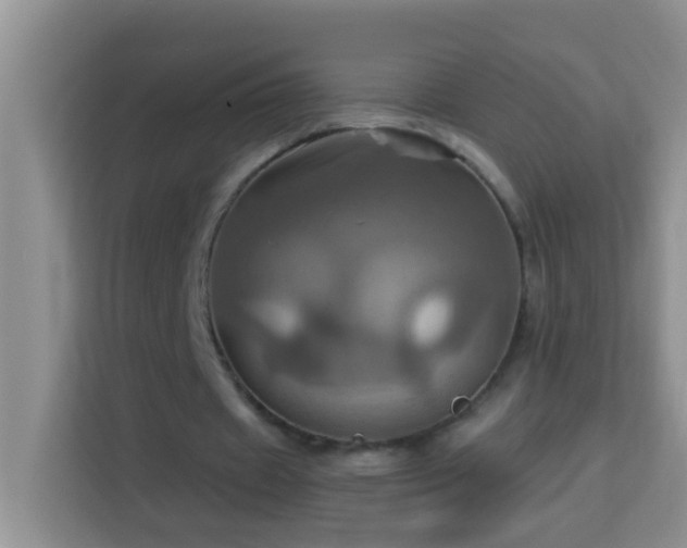 X0000114100433200910051448